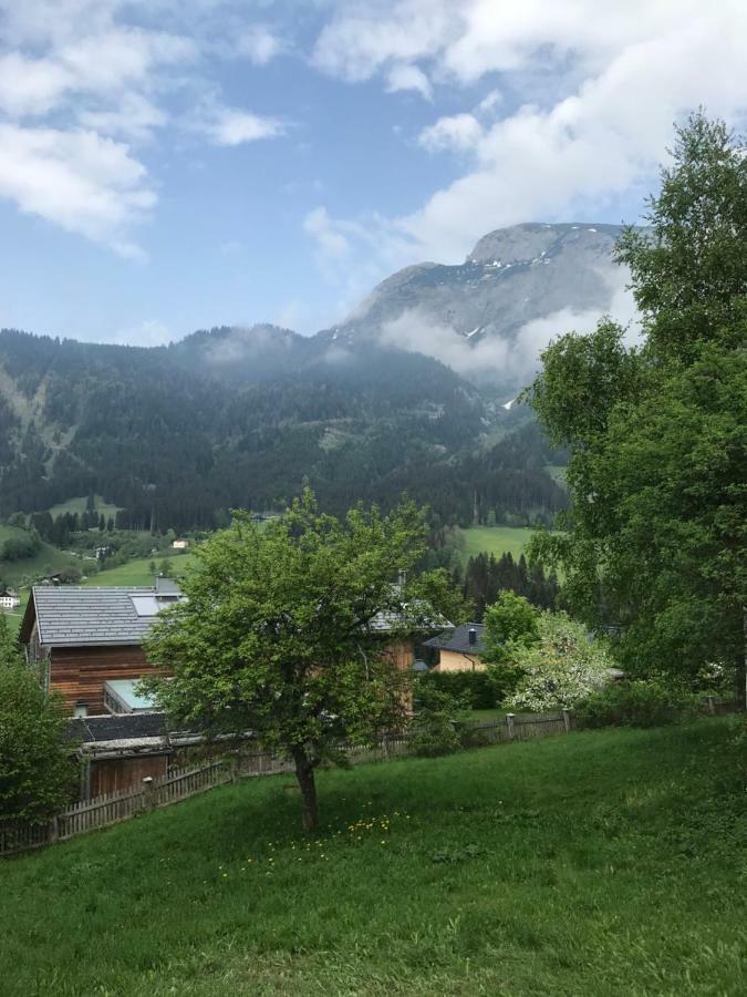Steuer 59 App 5 Apartment Annaberg im Lammertal Luaran gambar